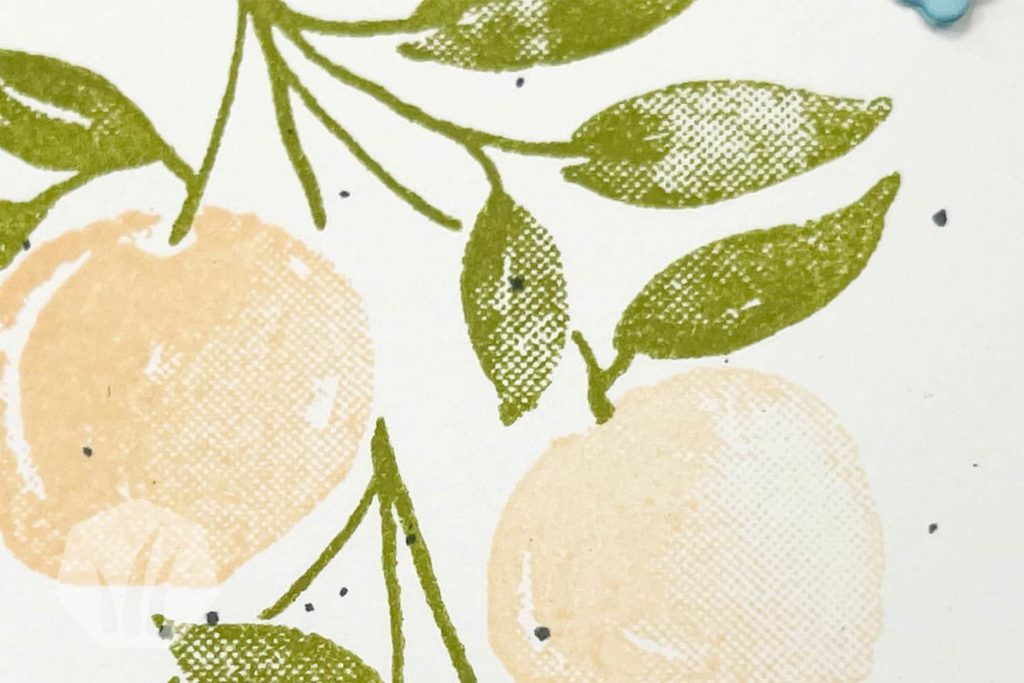 Geburtstagskarte mit den süßen Pfirsichen: Detail Pfirsich